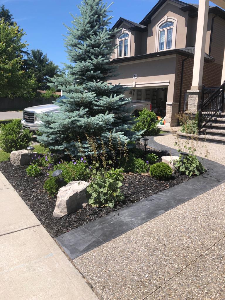 Yard grading Golden Horseshoe